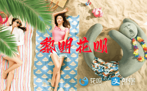无序无章花呗
